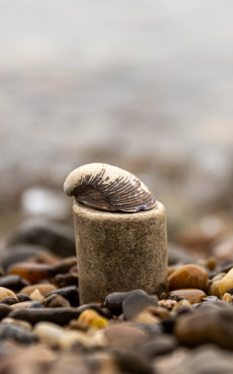 Optimisasi Mesin Generatif (GEO): Jadikan konten Anda dipilih oleh AI